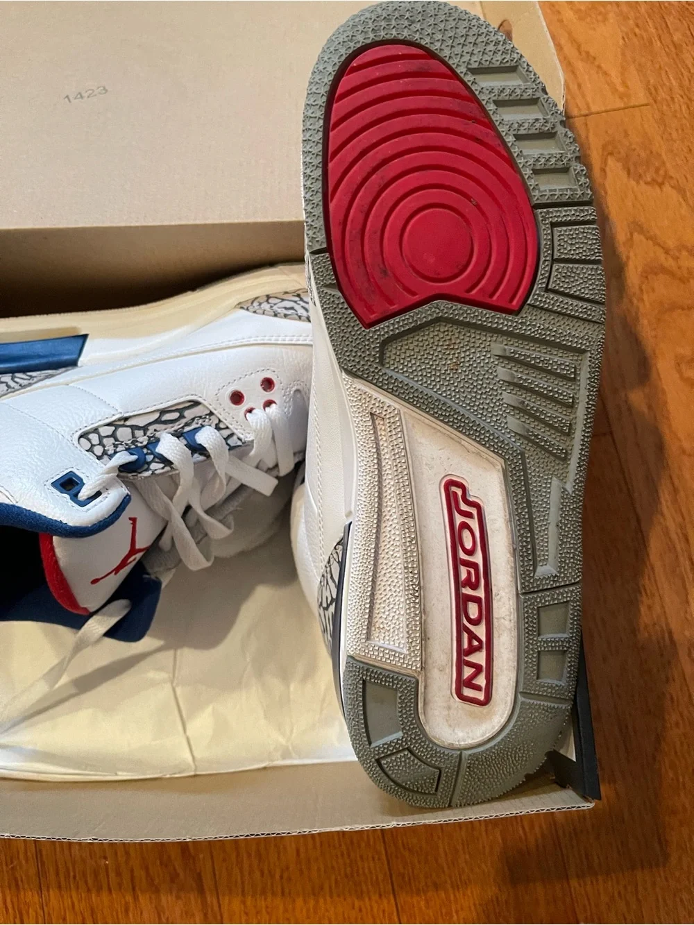 Jordan iconic silhouette